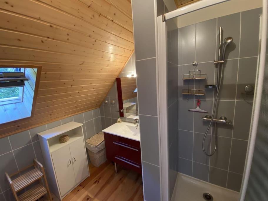 Chalet Accueillant Tout Confort アラヌエ エクステリア 写真